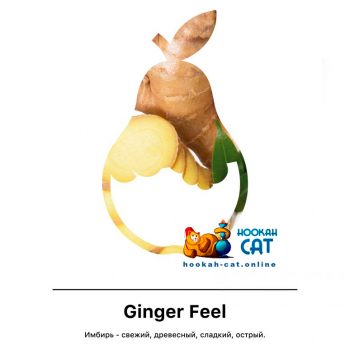 Табак для кальяна MattPear Classic Ginger Feel (МэтПир Классик Имбирь) 50г - фото 1 Табак для кальяна MattPear Classic Ginger Feel (МэтПир Классик Имбирь) 50г - фото 1